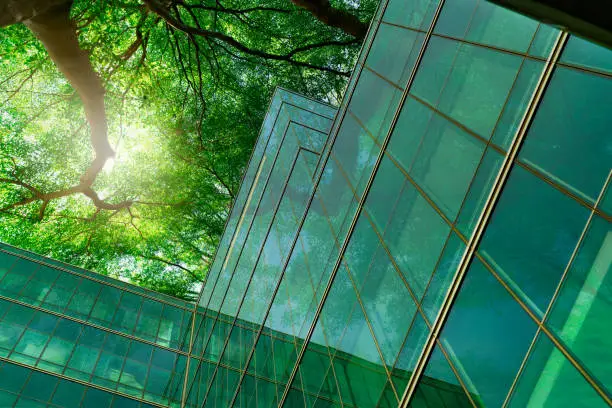 solar windows homes